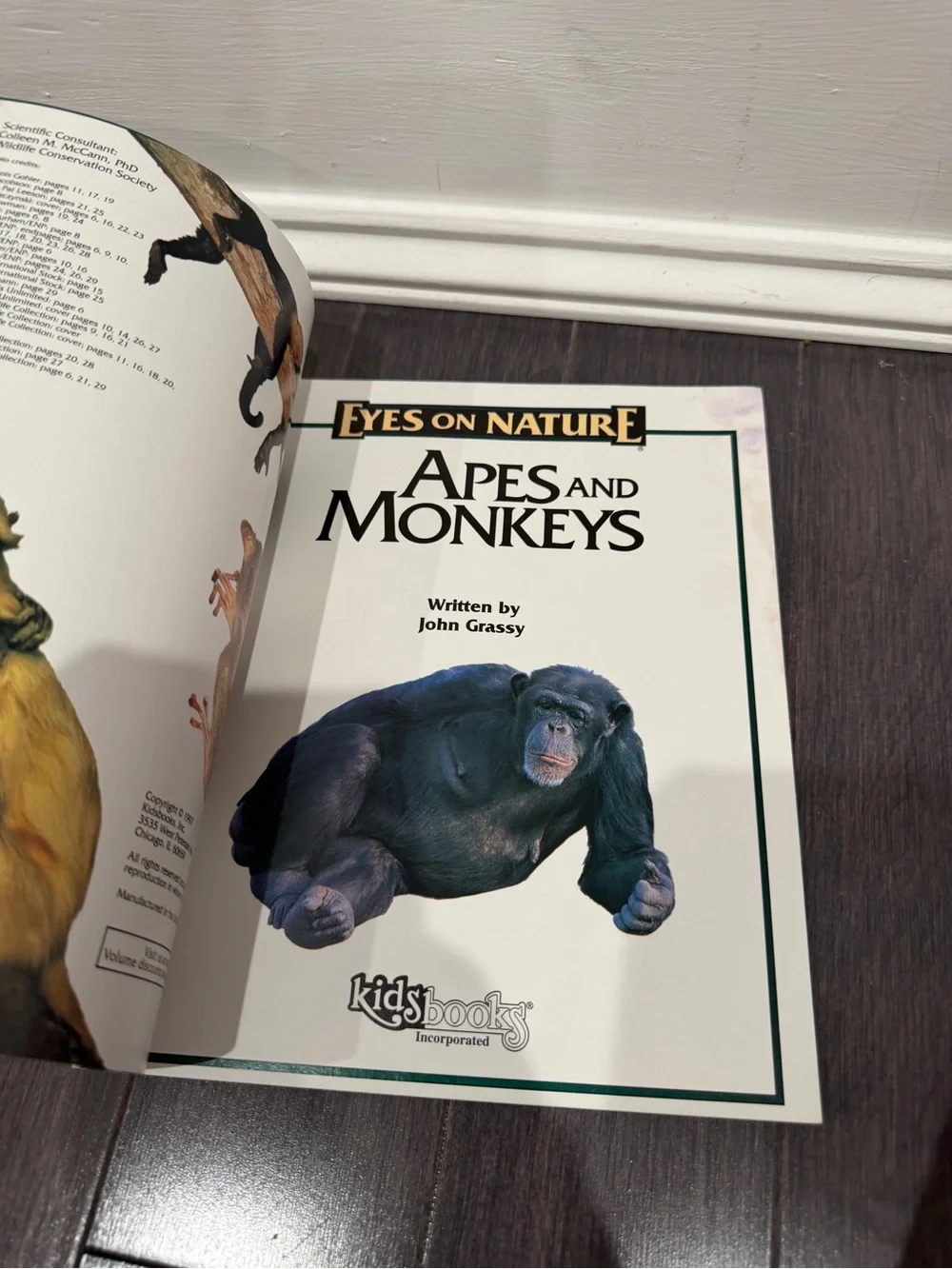 VINTAGE 1997 Eyes on Nature: Apes and Monkeys Softcover Book for Kids